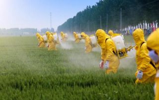 Line of people in yellow hazmat suits spraying herbicide onto a field