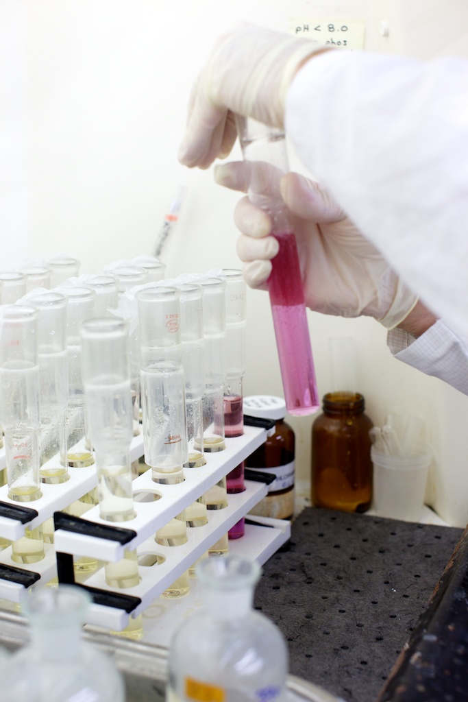 Closeup of a person completing a PFAS testing while holding a test tube with pink liquid inside of it