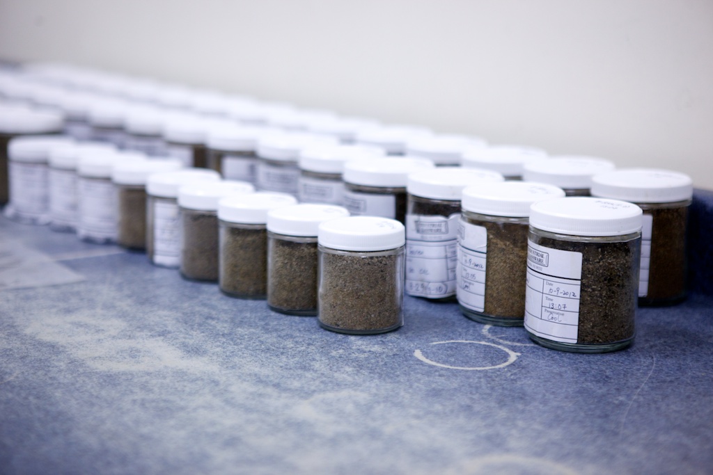 YORK Labs containers filled with soil samples ready for soil analysis
